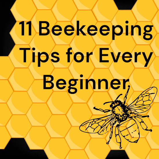 Outdoor Supplies Kamloops BC The Horse Barn